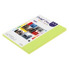 paperculture Print Pro 厚磅彩色影印紙 No 09 亮綠色 205g, 50個
