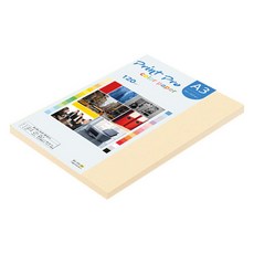 종이문화 프린트 프로 얇은 칼라 복사지 No 02 아이보리 120g, 80개, A3