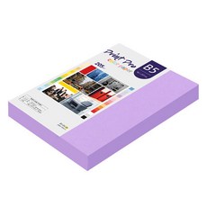 종이문화 프린트 프로 두꺼운 칼라 복사지 No 21 퍼플 205g, 132개, B5