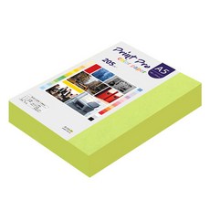 paperculture Print Pro 厚磅彩色影印紙 No 09 亮綠色 205g, A5, 200個