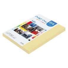 paperculture Print Pro 薄彩色影印紙 No 05 黃色 120g, 110個