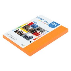 paperculture Print Pro 薄型彩色影印紙 No 27 橘色 120g, B4, 110個