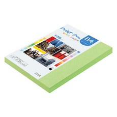 paperculture Print Pro 薄彩色影印紙 No 12 綠色 120g, 110個