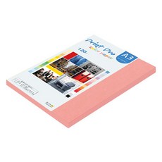 paperculture Print Pro 薄彩色影印紙 No 25 鮭魚色 120g, 80個