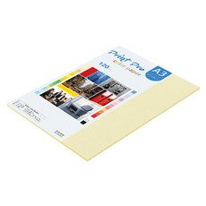 paperculture Print Pro 彩色影印紙 NO 1 檸檬 120g, 20個