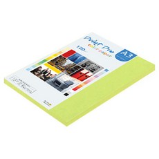 paperculture Print Pro 薄彩色影印紙 A3 120g No 09 亮綠色, 80個