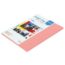 종이문화 프린트프로 얇은 칼라복사지 120g No.25 새몬, 40개, A3