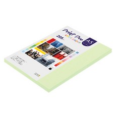 paperculture Print Pro 厚磅彩色影印紙 No 13 翡翠綠 205g, A5, 48個