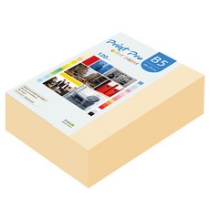 paperculture Print Pro 薄彩色影印紙 120g No.02 象牙白, 440個, B5