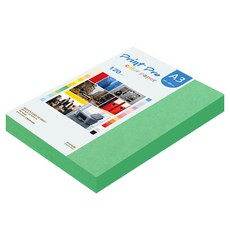 종이문화 프린트프로 얇은 칼라복사지 120g No.11 딥그린, 160개, A3