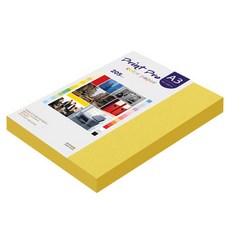 paperculture Print Pro 厚磅彩色影印紙 No 06 深黃色 205g, 100個