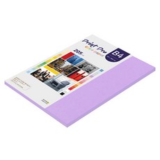 paperculture Print Pro 厚磅彩色影印紙 No 21 紫色 205g, 33個