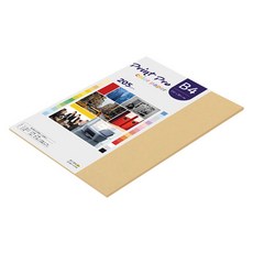 paperculture PrintPro 厚磅彩色影印紙 205g No.04 米黃色, B4, 16個