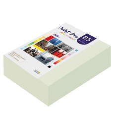 paperculture Print Pro 厚磅彩色列印紙 No 18 淺灰色 205g, 264個