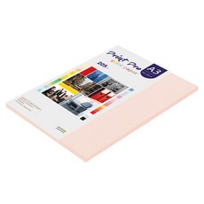 paperculture PrintPro 加厚彩色影印紙 No 22 淺粉紅色 205g, 25個