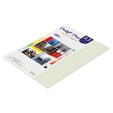 paperculture Print Pro 厚磅彩色影印紙 205g No.18 淺灰色, A3, 12個