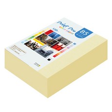 paperculture Print Pro 薄型彩色影印紙 No 1 檸檬黃 120g, 440個, B5