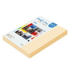 paperculture Print Pro 薄彩色影印紙 No 2 象牙白 120g, A3, 160個