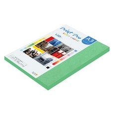 paperculture PrintPro 薄彩色列印紙 120g No 11 深綠色, A3, 80個