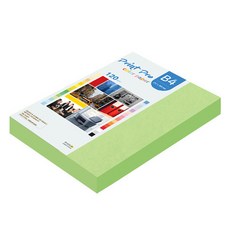 paperculture Print Pro 薄型彩色影印紙 No 12 綠色 120g, B4, 220個