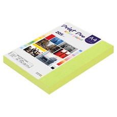 paperculture Print Pro 厚磅彩色影印紙 205g No.09 亮綠色, A4, 100個