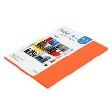paperculture Print Pro 薄彩色影印紙 No 28 皇家橘 120g, A3, 40個