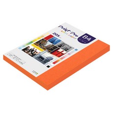 paperculture Print Pro 厚磅彩色影印紙 205g No.28 皇家橘, 66個, B4