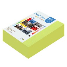 paperculture Print Pro 薄彩色影印紙 No. 9 亮綠色 120g, 440個, B5