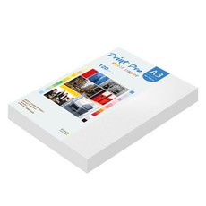 paperculture Print Pro薄型彩色影印紙 No. 30 雪白色 120g, A3, 160個