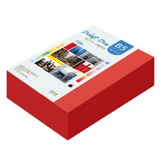 paperculture Print Pro 薄型彩色影印紙 No. 29 紅色 120g, 440個, B5