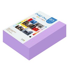 paperculture Print Pro 薄彩色影印紙 No 21 紫色 120g, 440個, B5