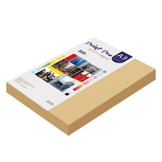종이문화 프린트프로 두꺼운 칼라복사지 205g No 04 버프, 100개, A3