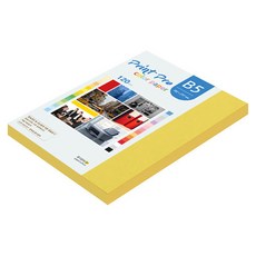 paperculture PrintPro 薄型彩色影印紙 120g No 06 深黃色, B5, 110個