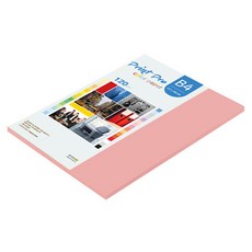 paperculture Print Pro 薄彩色影印紙 120g No 24 粉紅色, 55個, B4