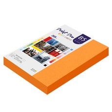 paperculture Print Pro 厚磅彩色影印紙 No 27 橘色 205g, B5, 132個