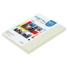 paperculture Print Pro 薄型彩色影印紙 120g No 18 淺灰色, B5, 110個