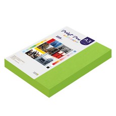 paperculture Print-Pro 厚磅彩色影印紙 205g No 10 清新綠, A3, 100個