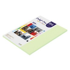 paperculture Print Pro 厚磅彩色影印紙 No 13 翡翠綠 205g, B4, 33個