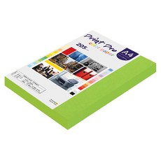 paperculture Print Pro 厚磅彩色影印紙 No 10 鮮綠色 205g, 100個