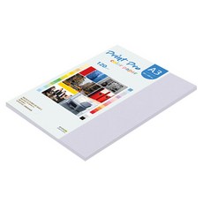 종이문화 프린트프로 얇은 칼라복사지 120g No 20 라일락, 40개, A3