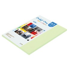 종이문화 프린트프로 얇은 칼라복사지 120g No 13 에메랄드, 40개, A3