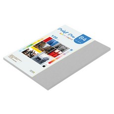 paperculture 프린트프로 薄彩色影印紙 120g No 31 灰色, B4, 55個