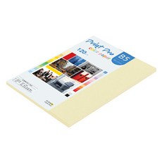 paperculture Print Pro 薄彩色影印紙 No 01 檸檬黃 120g, B5, 56個