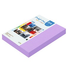 paperculture Print Pro薄彩色影印紙 120g No 21 紫色, B4, 220個