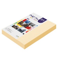 paperculture Print Pro 厚磅彩色影印紙 No 02 象牙白 205g, B5, 132個