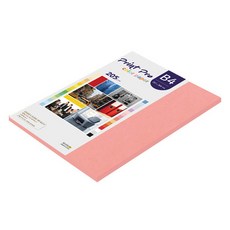 paperculture Print Pro 厚磅彩色影印紙 No 25 鮭魚色 205g, B4, 33個