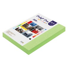 paperculture Print Pro 厚磅彩色影印紙 No 12 綠色 205g, A5, 100個