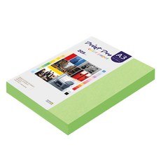 paperculture Print Pro 厚磅彩色影印紙 205g No 12 綠色, A3, 100個