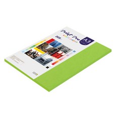 paperculture Print Pro 厚磅彩色列印紙 No 10 鮮綠色 205g, A3, 25個