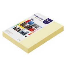 paperculture Print Pro 厚磅彩色影印紙 No 01 檸檬 205g, B4, 132個